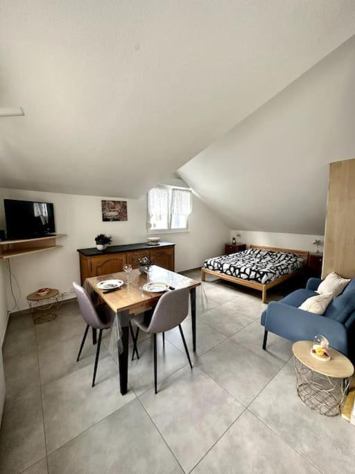 Studio Tout Equipe Aux Pieds Des Vosges Leimbach Dış mekan fotoğraf